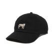 画像3: 【25秋冬ご予約受付中！25年8月入荷予定】ROTTWEILER/DAD DOG CAP（BLACK）［キャップ-25秋冬］ (3)