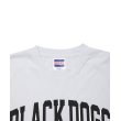 画像3: 【25秋冬ご予約受付中！25年7月入荷予定】ROTTWEILER/BD XXL TEE（WHITE）［プリントT-25秋冬］ (3)