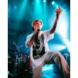 画像8: ROTTWEILER/DOG PHOTO TEE（WHITE）［プリントT-25春夏］ (8)