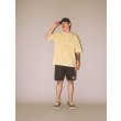画像6: ROUGH AND RUGGED/PEAKS SHORTS（GRAY）［ピークスショーツ-25春夏］ (6)