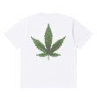 画像1: BlackEyePatch/SMALL OG BIG LEAF TEE（WHITE） (1)