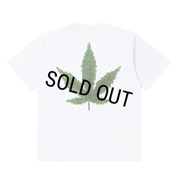 画像1: BlackEyePatch/SMALL OG BIG LEAF TEE（WHITE） (1)