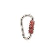画像1: BlackEyePatch/HWC CARABINER（SILVER） (1)