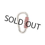 画像: BlackEyePatch/HWC CARABINER（SILVER）