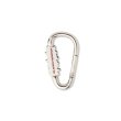 画像2: BlackEyePatch/HWC CARABINER（SILVER） (2)