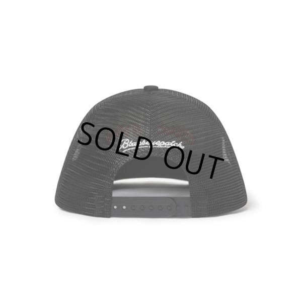 画像2: BlackEyePatch/FASTHAND SCRIPT DOLLAR BILL MESH CAP（BLACK） (2)