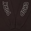 画像3: PORKCHOP/WP BIG LOGO L/S TEE（DARK BROWN）［ウイングポークビッグロゴ長袖T-25秋冬］ (3)